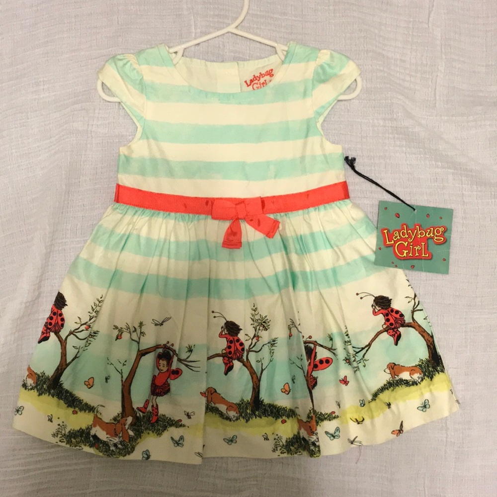 NWT Toddler Girls Ladybug Dress